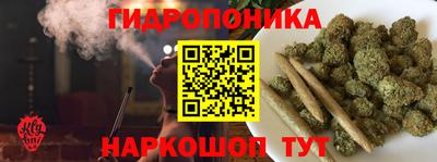 спиды Заводоуковск
