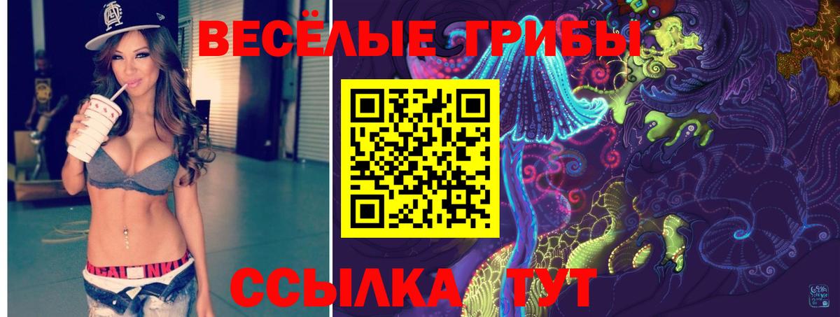 Псилоцибиновые грибы Psilocybe Горячий Ключ