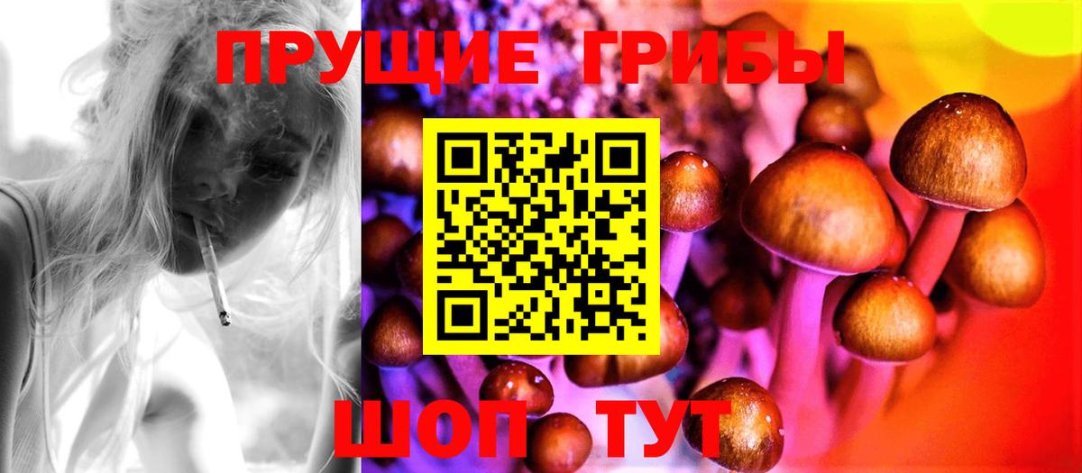 Псилоцибиновые грибы Cubensis  Галлюциногенные грибы Psilocybine cubensis  Горячий Ключ  Вход с VPN 